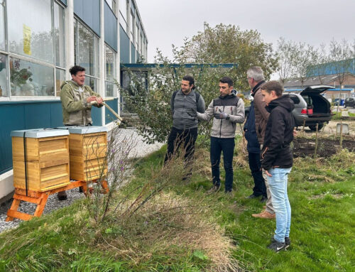 Twee bijenkasten geplaatst voor behoud van biodiversiteit