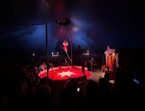 2e editie CAT-festival wederom een echte belevenis. 